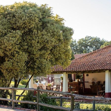 Herdade Das Barradas Da Serra Grândola Esterno foto