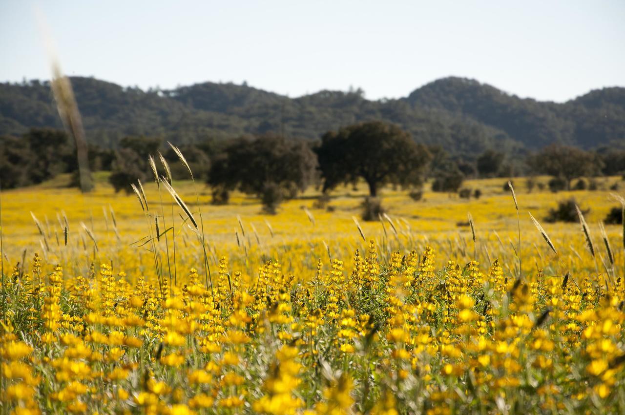 Herdade Das Barradas Da Serra Grândola Esterno foto